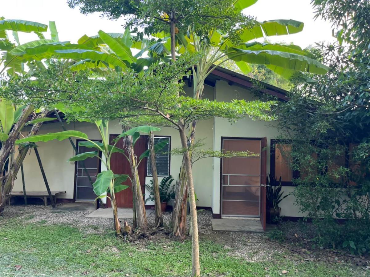 Hostel Brown House Chiangdao Chiang Dao Exterior foto